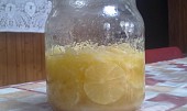 Nakládané citrony (nakládané citróny v medu)
