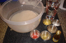 ingredience