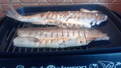 Ryba na grilu