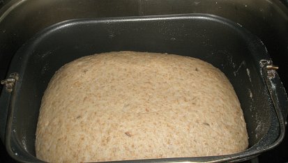 Celozrnné bulky se špaldou a ovesnými vločkami, vykynuté těsto