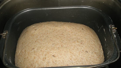Celozrnné bulky se špaldou a ovesnými vločkami, vykynuté těsto