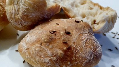 Chlebohousky alias chlebánky