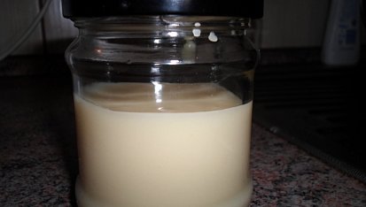 Domácí slazené mléko-SALKO