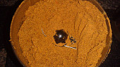 Garam Masala  #2, umletá směs