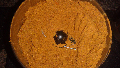 Garam Masala  #2, umletá směs