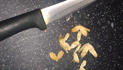 Garam Masala  #2, Prázdné kardamomové slupky