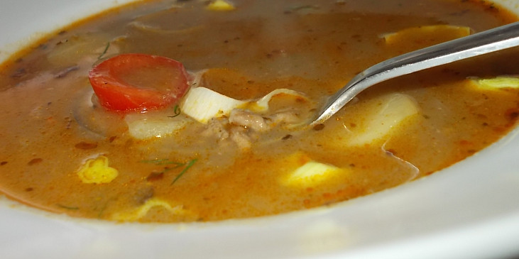 Gulášová polévka  z mletého  hovězího  masa a hub