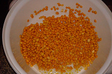 channa dal