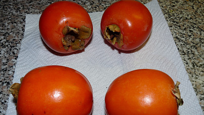 Kaki bublanina