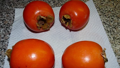 Kaki bublanina