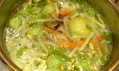 Kuřecí polévka na čínsko-brněnský způsob
