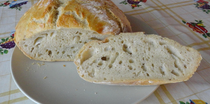 Levný chléb od Ládi Hrušky (tento vytvořil můj muž druhý den po odvysílání…)