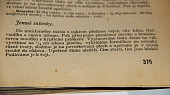 Linecké citronové - křehké