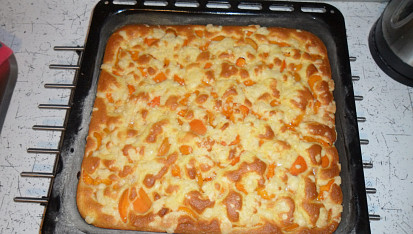Meruňková bublanina