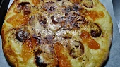 Moravskochodský frgál