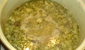 Rybí polévka samotáře Rermora (a už se vaří...)