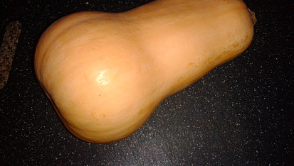 Sladkokyselá dýně
