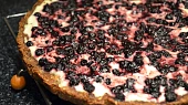 Zdravý celozrnný borůvkovo - tvarohový koláč (bez másla)