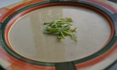 Česnekovo-celerový krém se zakysanou smetanou