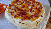 Dort Pavlova