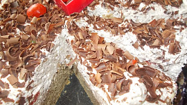 Kávový dort  s krémem z ledových  kaštanů, kofily a jogurtů