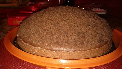 Krtkův dort (podle mého), tak dame schladit do lednice a zitra prvni ochutnavka :-)