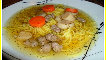 Kuřecí nudlová polévka