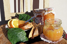 Citrusová marmeláda