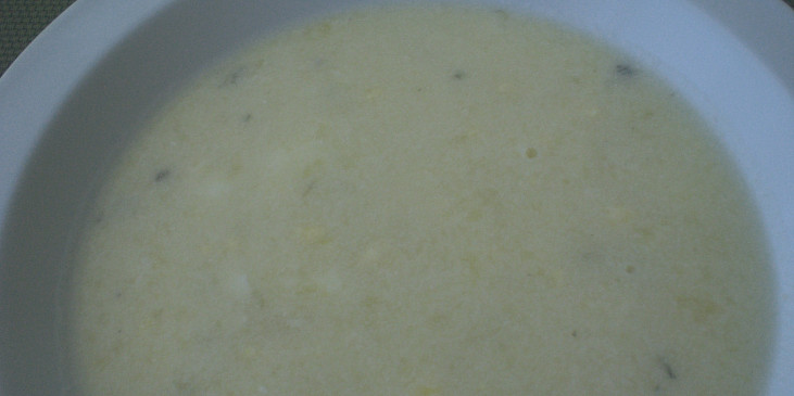 Sýrová polévka 2