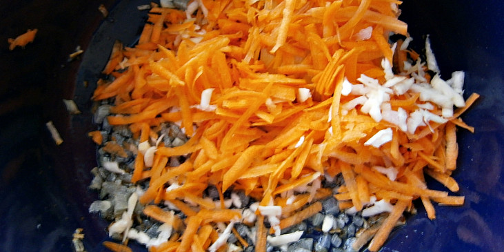 Na sádle orestujeme nadrobno nakrájenou cibuli,poté přidáme mrkev a celer