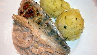 Candát na smetaně a červeném víně