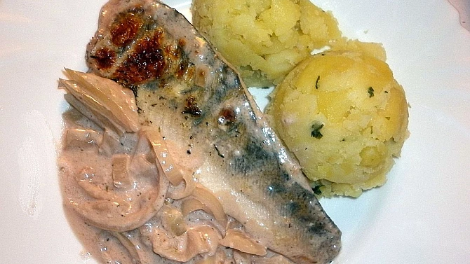 Candát na smetaně a červeném víně