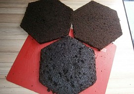 Čokoládový korpus na dort (takto vypadá naříznutý korpus)
