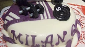 Dort - Pro sportovce, 2,7 kg