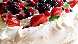 Dort  Pavlova