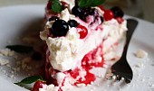 Dort Pavlova