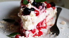 Dort  Pavlova