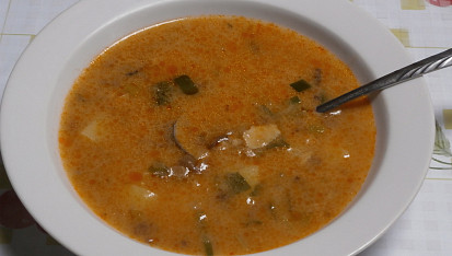 Houbová polévka na paprice, houbovka
