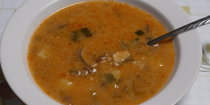 Houbová polévka na paprice (houbovka)