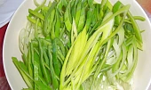 Kapr liu