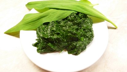 Pesto z medvědího česneku, moje várka :) s olivovým olejem