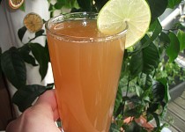 Zázvorový sirup (základ na limonádu)