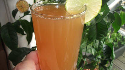 Zázvorový sirup (základ na limonádu)