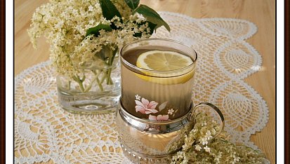 Bezový sirup z květů černého bezu-kosmatice
