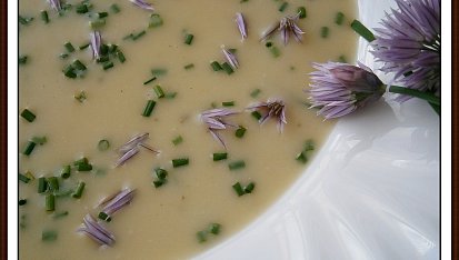 Cibulovo smetanová krémovka s pažitkou