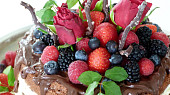 Čokoládový dort s polevou, ovocem a růžemi