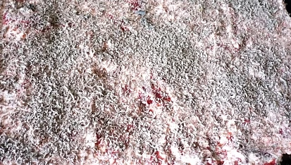 Dobré jahodové řezy