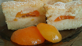 Hrníčkové meruňkové řezy