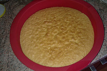 piškot