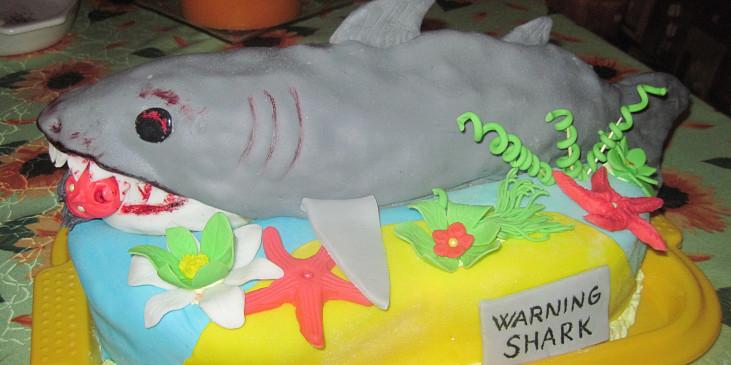 Jak se dělá žralok- sladký dort (ŽRALOK)